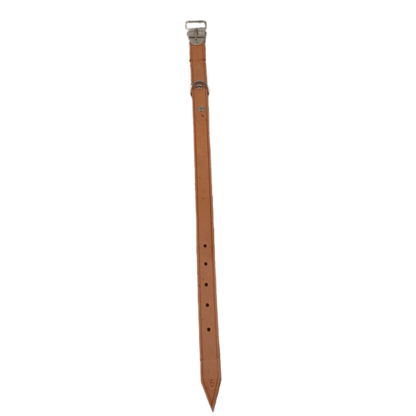 Coleira de cabedal nº 6