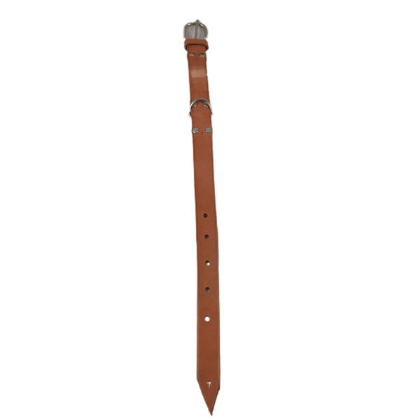 Coleira de cabedal nº 7