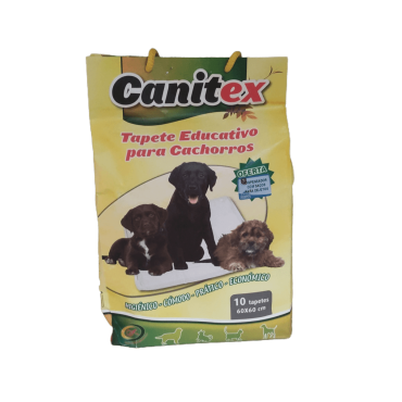 Tapete educativo para cachorros Tapete educativo para cachorros