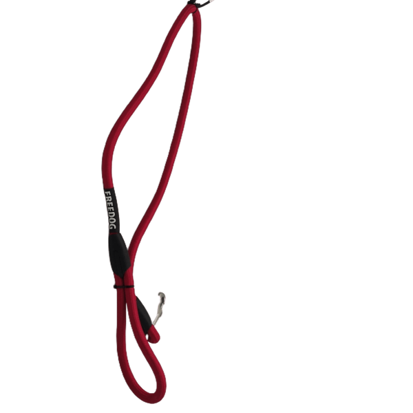 Trela Nylon 13mmx120cm