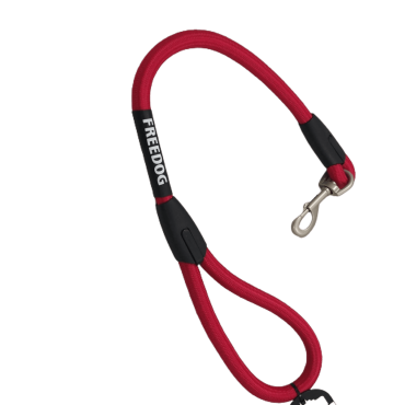 Trela Nylon 15 mm x 60 cm - Vermelho Trela Nylon 15 mm x 60 cm - Vermelho