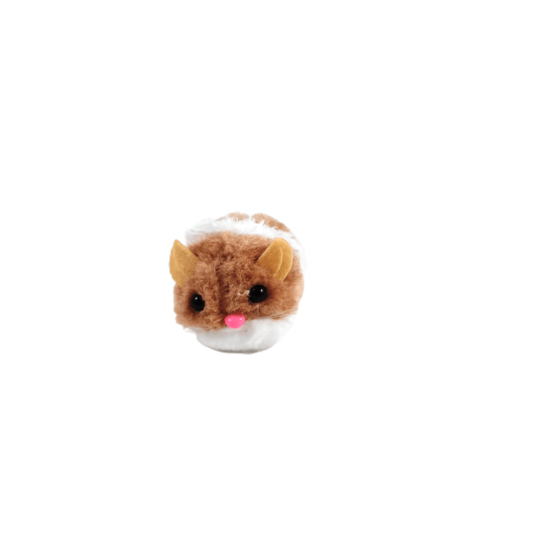 Rato à corda Rato à corda