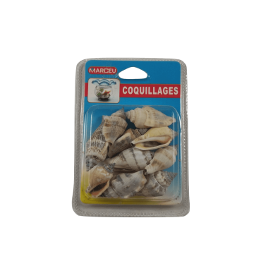 Conchas Decorativas - Búzios Conchas Decorativas - Búzios