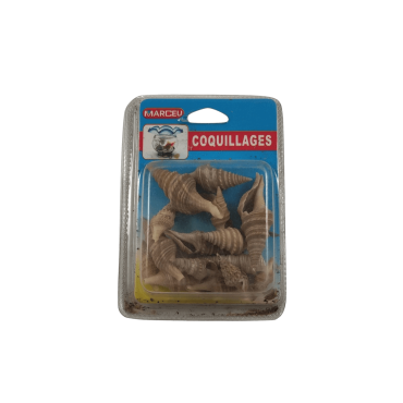 Conchas Decorativas - Búzios 2 Conchas Decorativas - Búzios 2