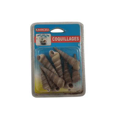 Conchas Decorativas - Compridas Conchas Decorativas - Compridas