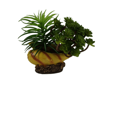 Decoração para aquário - Búzio com planta Decoração para aquário - Búzio com planta
