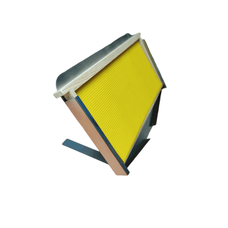 Expositor para Quadro Langstroth com Favo de Mel Expositor para Quadro Langstroth com Favo de Mel