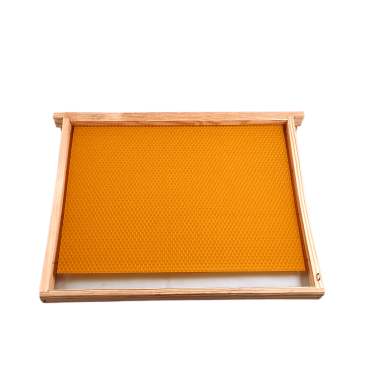 Quadro de Ninho Lusitano com Cera