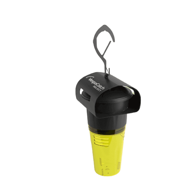 Armadilha Seletiva para Vespa Asiática – VespaCatch Select