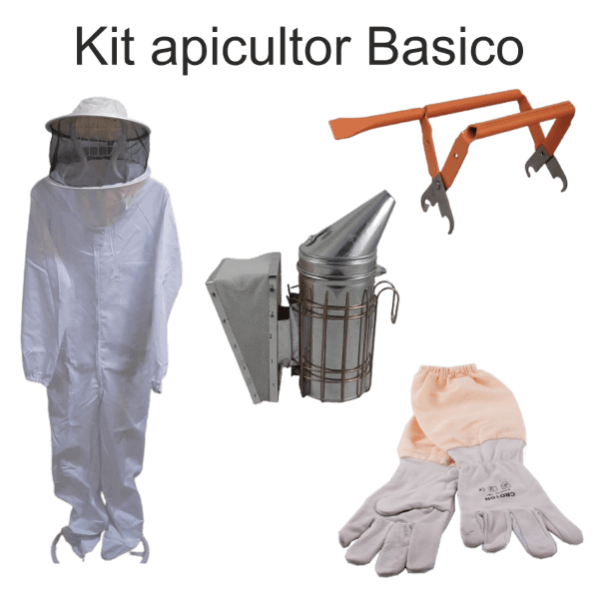 Kit Básico de Iniciação à Apicultura