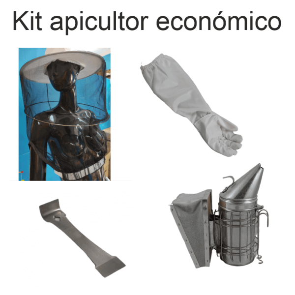 Kit Económico de Iniciação à Apicultura
