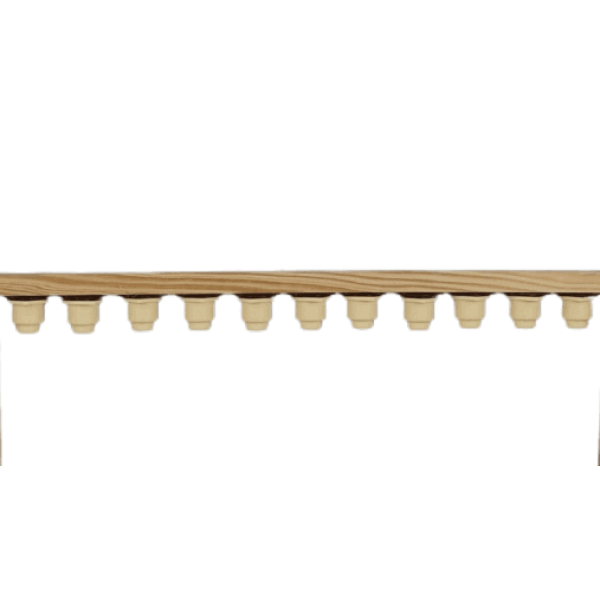 Barra Lusitana para Criação de Rainhas – 11 Células