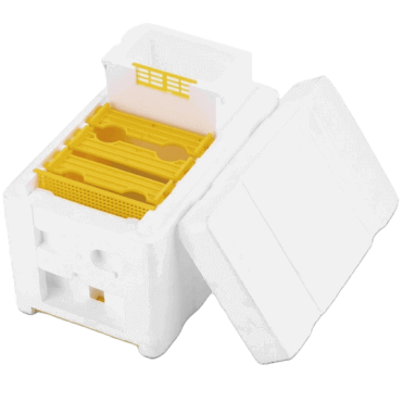 Colmeia Mini-Núcleo em Esferovite para Fecundação de Rainhas