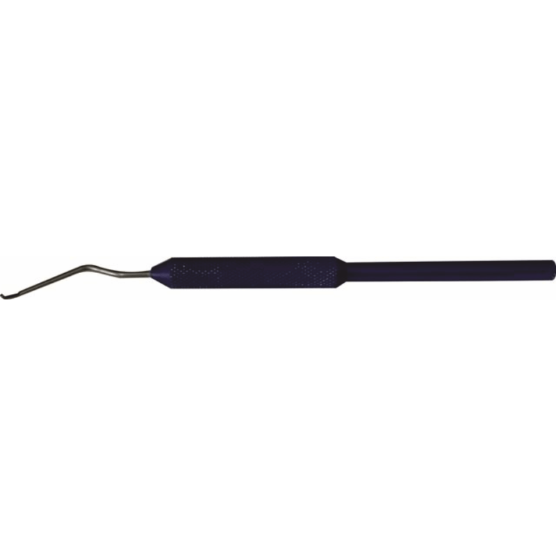 Picking Inox com Cabo para Translarve de Larvas Picking Inox com Cabo para Translarve de Larvas