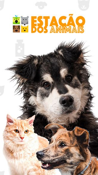 Petshop Petshop loja de animais de estimação